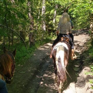 Families Ride Horses All Day and Eat Home-Cooked Meals at These 5 Tennessee Ranches
