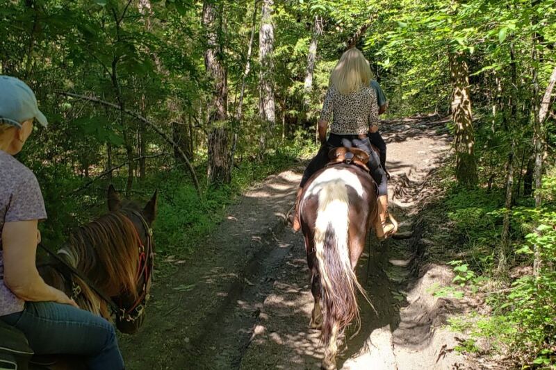 Families Ride Horses All Day and Eat Home-Cooked Meals at These 5 Tennessee Ranches