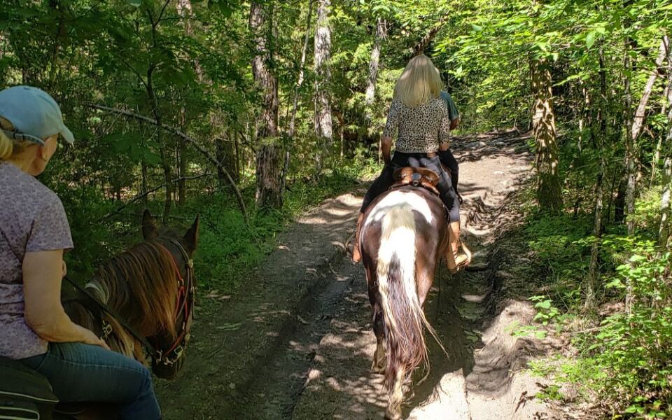 Families Ride Horses All Day and Eat Home-Cooked Meals at These 5 Tennessee Ranches