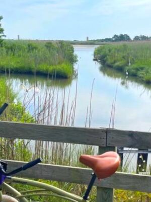 This Lewes, Delaware, Trail Winds Past Salt Marshes, Wildlife, and Some of the State’s Most Beautiful Coastal Views