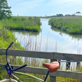 This Lewes, Delaware, Trail Winds Past Salt Marshes, Wildlife, and Some of the State’s Most Beautiful Coastal Views