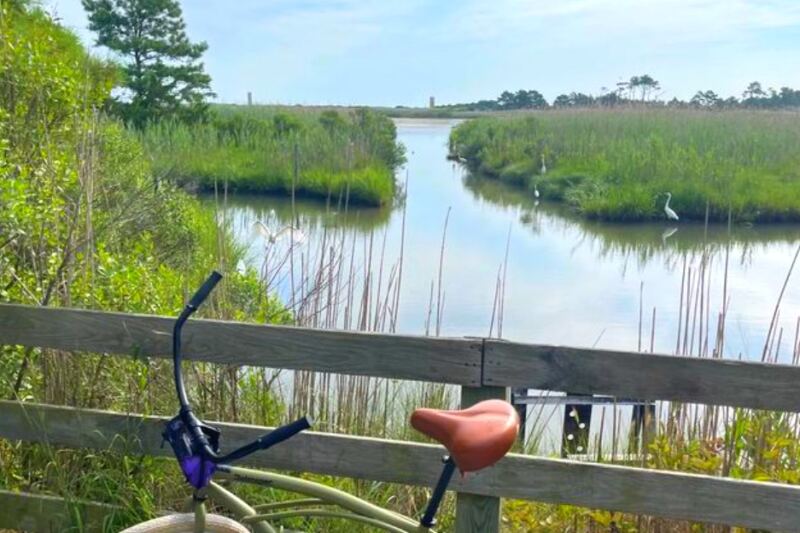 This Lewes, Delaware, Trail Winds Past Salt Marshes, Wildlife, and Some of the State’s Most Beautiful Coastal Views