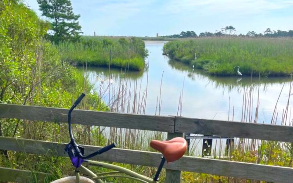 This Lewes, Delaware, Trail Winds Past Salt Marshes, Wildlife, and Some of the State’s Most Beautiful Coastal Views