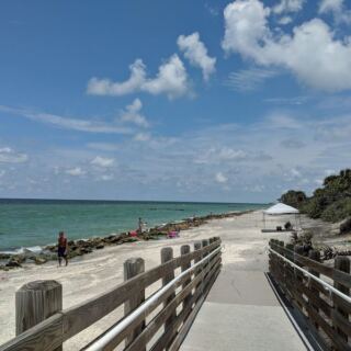 Shell Collectors Fill Their Buckets by Breakfast on These 8 Southwest Florida Beaches