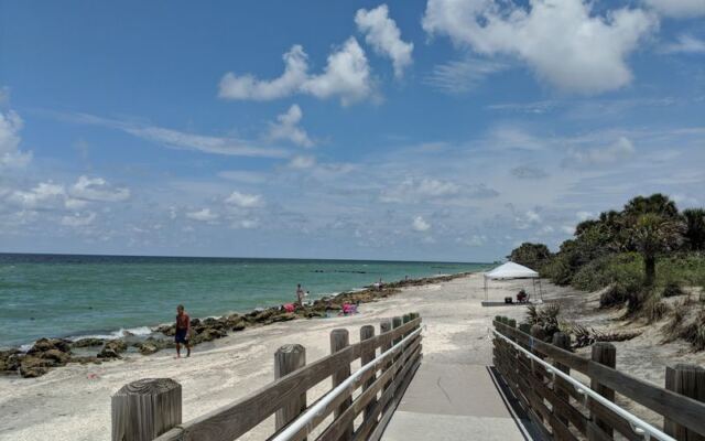 Shell Collectors Fill Their Buckets by Breakfast on These 8 Southwest Florida Beaches