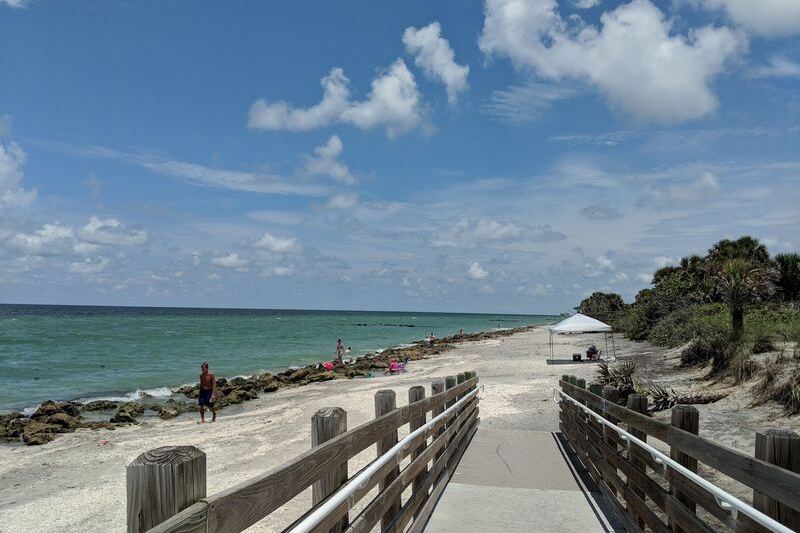 Shell Collectors Fill Their Buckets by Breakfast on These 8 Southwest Florida Beaches