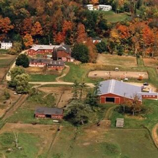 Ride Across a Brook and Through Fall Foliage on This Berkshires Horseback Tour in Massachusetts