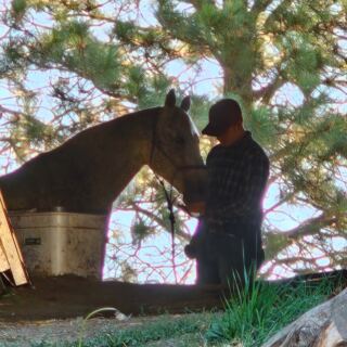 This Idaho Ranch Has Given More Than 4,000 Horses a Second Chance