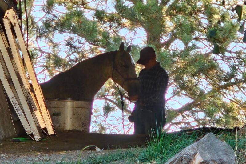 This Idaho Ranch Has Given More Than 4,000 Horses a Second Chance