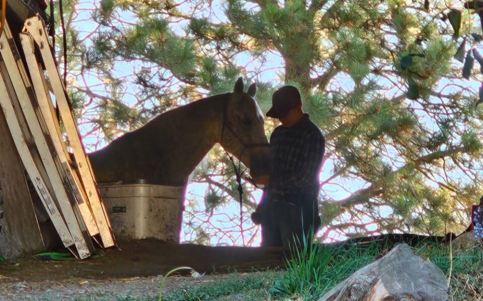 This Idaho Ranch Has Given More Than 4,000 Horses a Second Chance