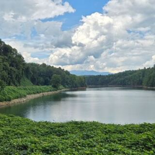 Bryson City’s Great Smoky Mountains Railroad Serves Dinner While Rivers and Green Ridges Roll Past Your Window