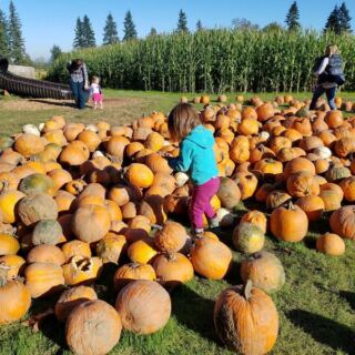 7 Oregon Pumpkin Patches Pack Corn Mazes, Hayrides, and Cider Into One Fall Afternoon