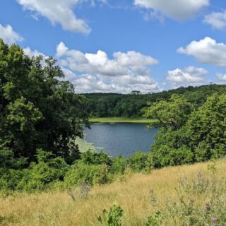 10 Minnesota Lakes Where the Public Beach Stays Peaceful Even on the Busiest Summer Weekend