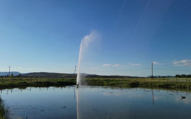 A 1923 Drilling Accident Gave Oregon a Geyser That Still Shoots Skyward Today