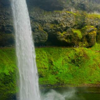 15 States With the Most State Parks (Ranked)