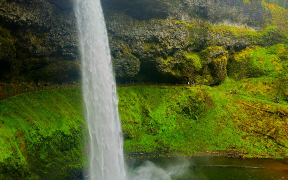 15 States With the Most State Parks (Ranked)