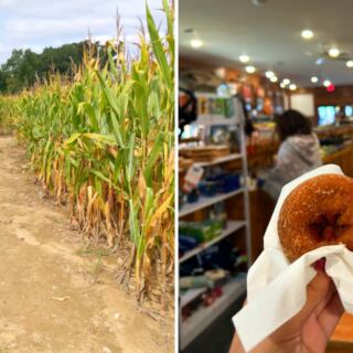 This Michigan Orchard Has Cider Donuts, Apple Picking, and a Huge Corn Maze