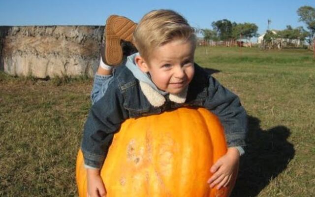 Seven Oklahoma Fall Festivals That Are Worth the Drive