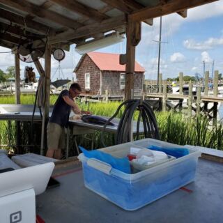 Buy Shrimp Fresh Off the Boat at Abundant Seafood in Mount Pleasant, SC