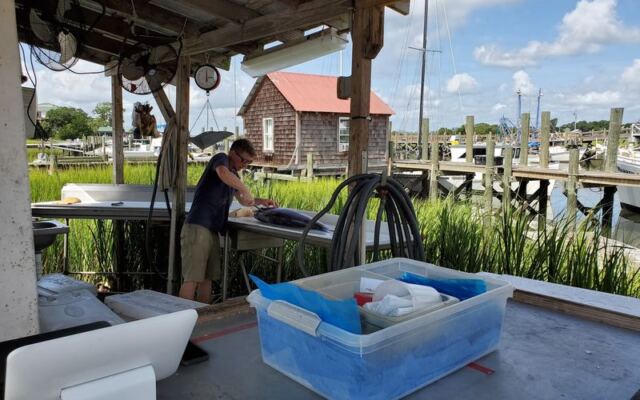 Buy Shrimp Fresh Off the Boat at Abundant Seafood in Mount Pleasant, SC