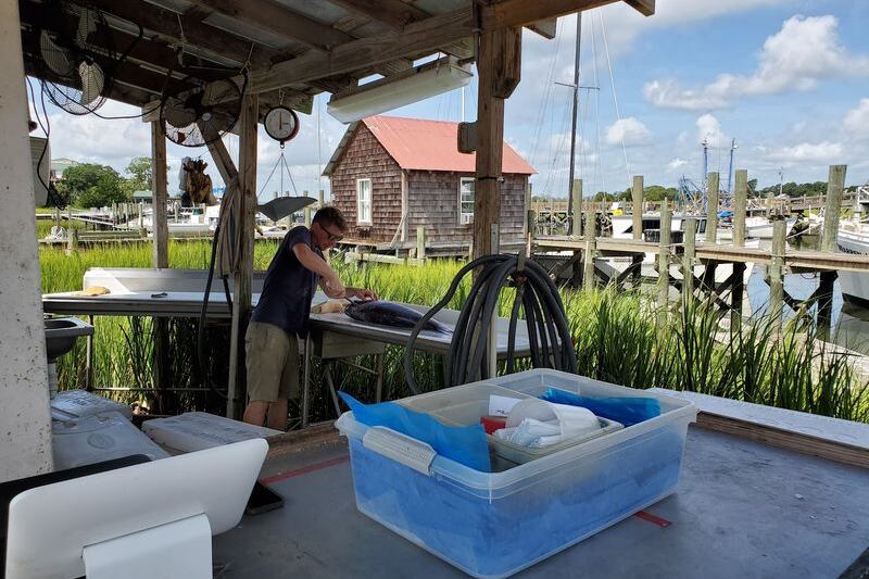 Buy Shrimp Fresh Off the Boat at Abundant Seafood in Mount Pleasant, SC
