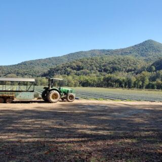 6 North Carolina Corn Mazes Where Getting Lost on Purpose Is the Whole Fun
