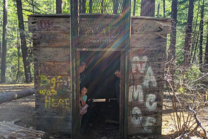 Want Proof Oregon Gets Strange? A Real Sasquatch Trap Still Sits in Its Woods