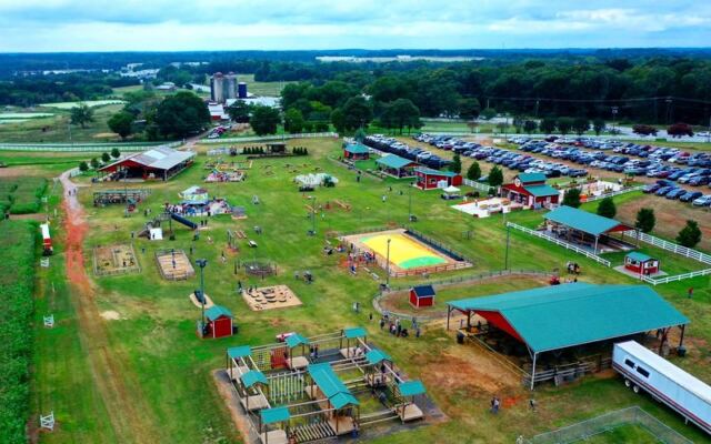 Kids Climb Into Real Tractors and Feed Goats for Free at Hurricane Hill Farm? Try Denver Downs Farm in Anderson, South Carolina