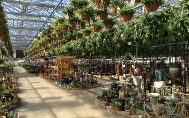 The Huge Illinois Greenhouse Where 70,000 Hanging Baskets Still Sell For Bargain Prices