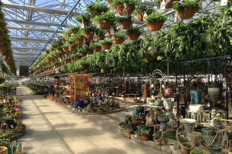 The Huge Illinois Greenhouse Where 70,000 Hanging Baskets Still Sell For Bargain Prices