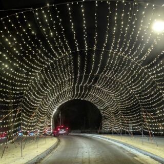 Families Fill Thermoses Before Driving Out To See These 7 Illinois Christmas Light Displays