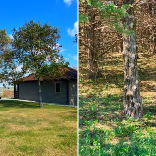 This Nebraska State Park Has Bluff-Top Cabins, Two Rivers, and Wildlife Everywhere