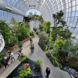 This 15-Acre Oklahoma Botanical Garden Lets You Stroll a Catwalk High Above Tropical Plants