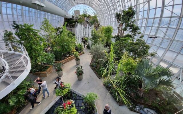 This 15-Acre Oklahoma Botanical Garden Lets You Stroll a Catwalk High Above Tropical Plants