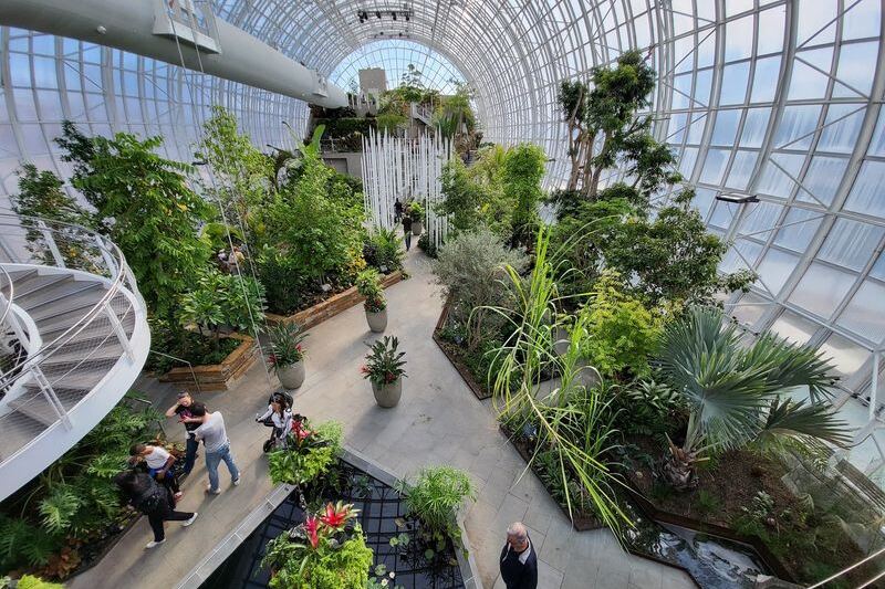 This 15-Acre Oklahoma Botanical Garden Lets You Stroll a Catwalk High Above Tropical Plants