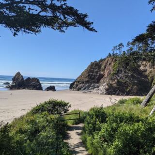 Low Tides Reveal Sea Stars and Anemones at These 9 Oregon Coast Tide Pools