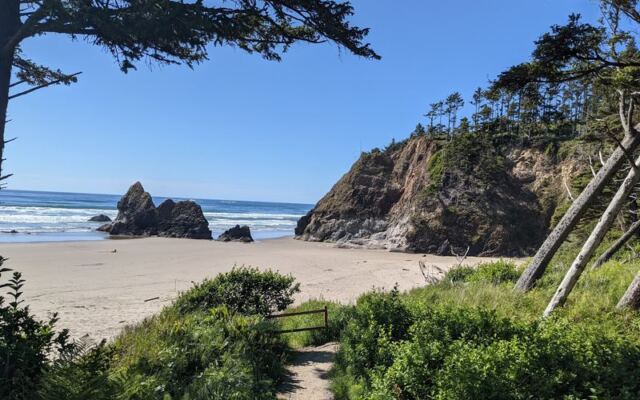Low Tides Reveal Sea Stars and Anemones at These 9 Oregon Coast Tide Pools