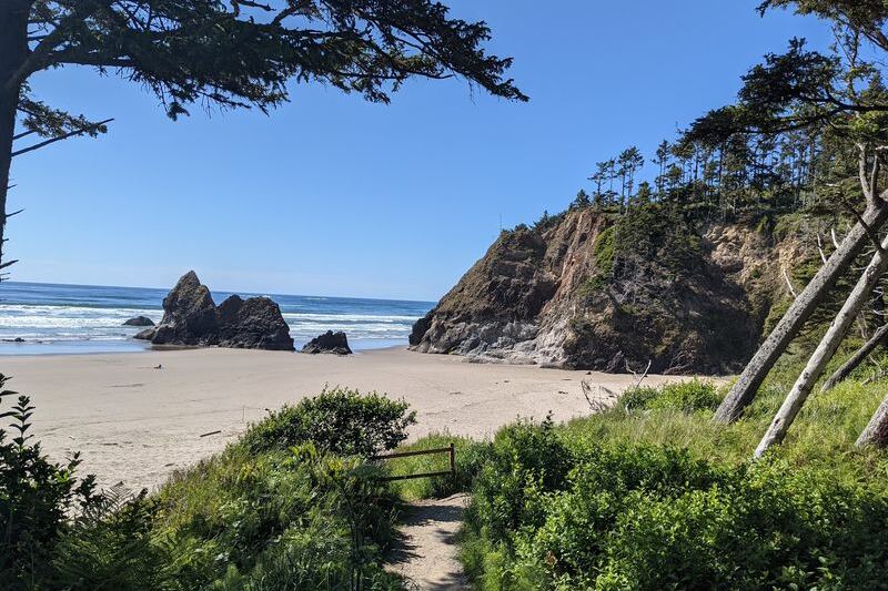 Low Tides Reveal Sea Stars and Anemones at These 9 Oregon Coast Tide Pools