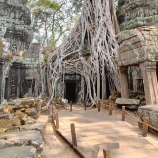 Ta Prohm’s Giant Roots Have Turned an Ancient Khmer Temple Into One of Angkor’s Most Surreal Sights