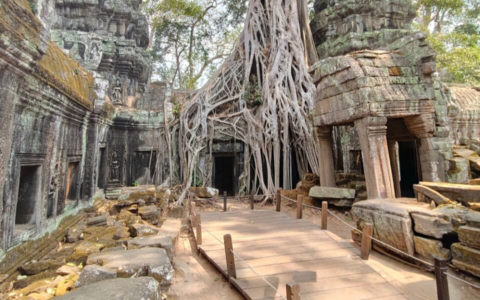 Ta Prohm’s Giant Roots Have Turned an Ancient Khmer Temple Into One of Angkor’s Most Surreal Sights
