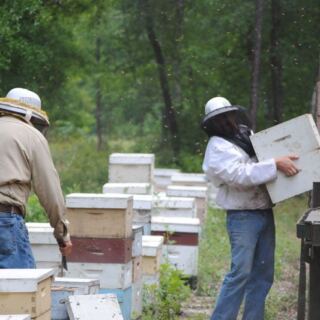 In Wewahitchka, Florida, Smiley Honey Sells the Panhandle’s Rare Tupelo Honey by the Jar