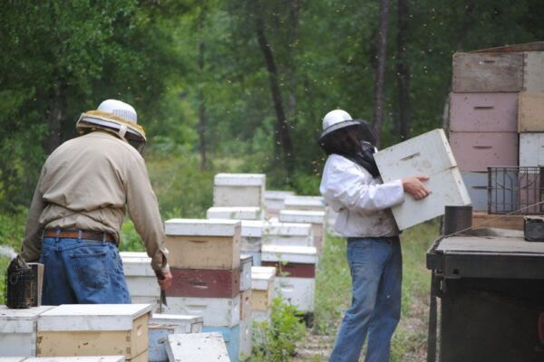 In Wewahitchka, Florida, Smiley Honey Sells the Panhandle’s Rare Tupelo Honey by the Jar
