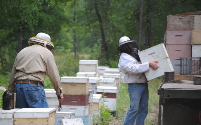 In Wewahitchka, Florida, Smiley Honey Sells the Panhandle’s Rare Tupelo Honey by the Jar