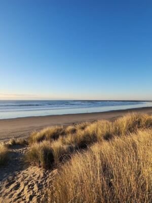 These 8 Oregon Yurts and Cabins Sit Steps From the Beach and Rent for Under $60 a Night