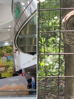 You’ll Find Snowy Owls, Bobcats and Bears Just Feet Away at the EcoTarium in Worcester