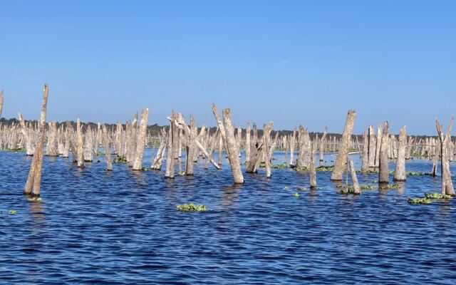 Trophy Bass Swim Over a Sunken Forest and 20 Lost Springs in This North Florida Lake