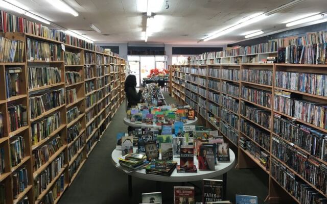 Friendly Cats Supervise the Stacks at This Small-Town Tennessee Bookstore With Thousands of Titles