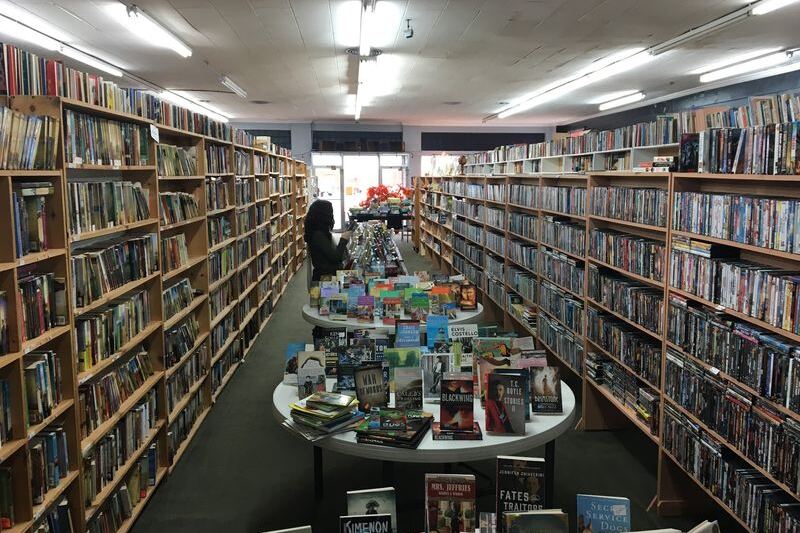 Friendly Cats Supervise the Stacks at This Small-Town Tennessee Bookstore With Thousands of Titles