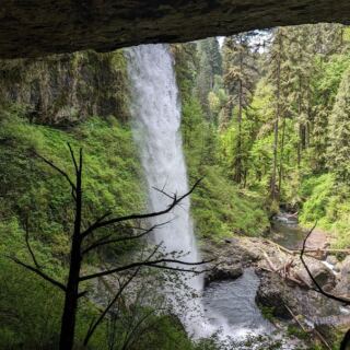 Winter Rain at Oregon’s Silver Falls Means Walking Right Behind a Roaring Curtain of Water