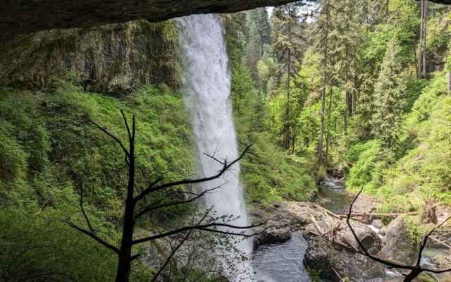 Winter Rain at Oregon’s Silver Falls Means Walking Right Behind a Roaring Curtain of Water